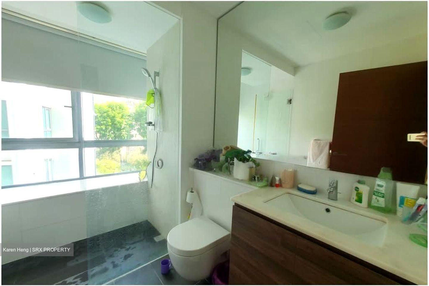 Double Bay Residences (D18), Condominium #593412261